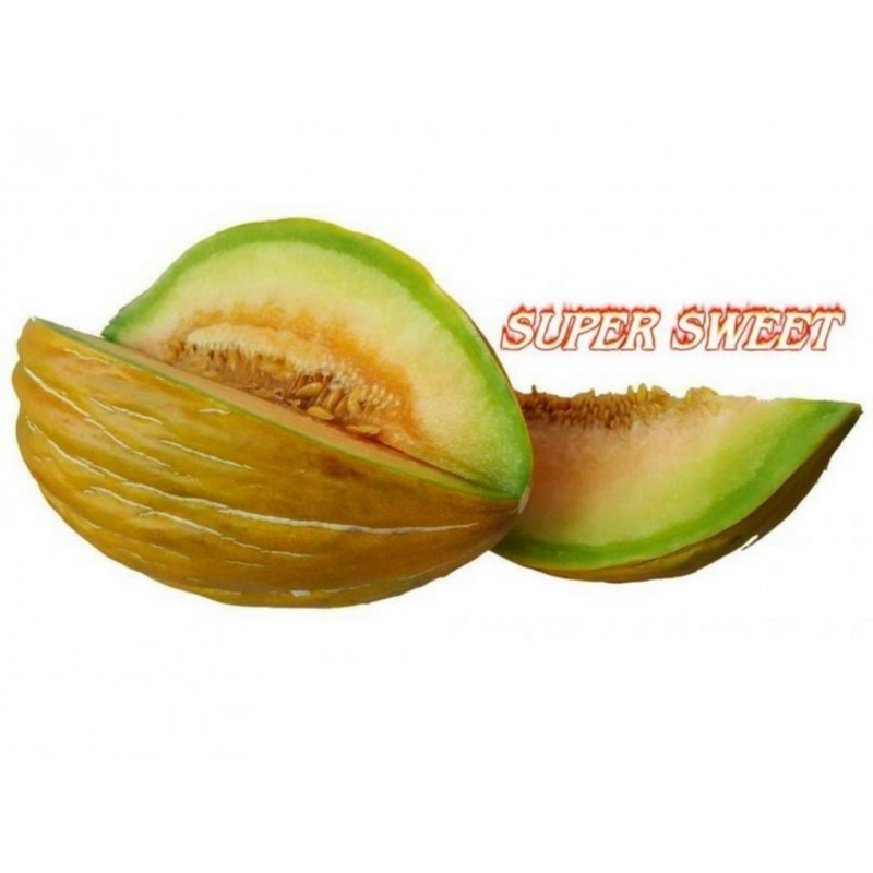 Rare Seeds : Melon Seeds